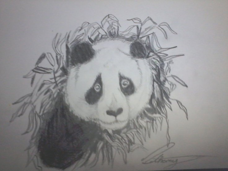 Панда для выжигания