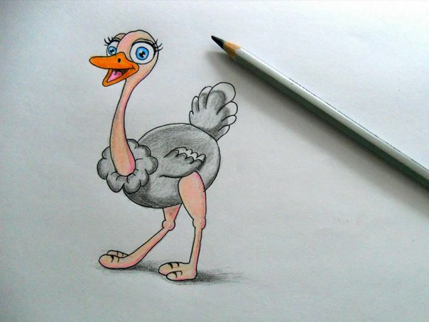 Страус легкие