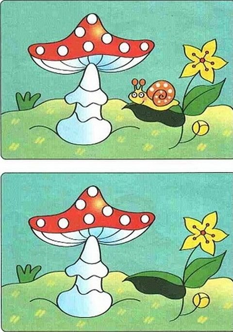 Занятие для детей Найди отличия