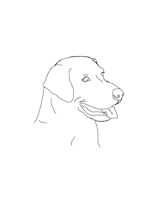 Рисунок собаки легкий