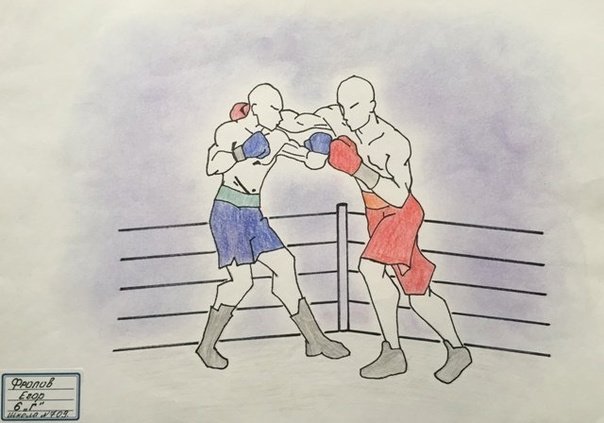 Боксер рисунок