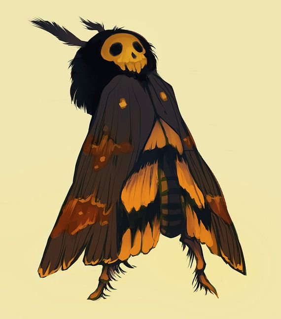 Mothman фурри