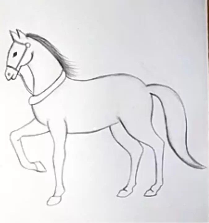 Лошадка для рисования