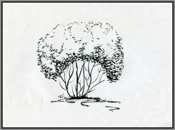 Кусты для рисования