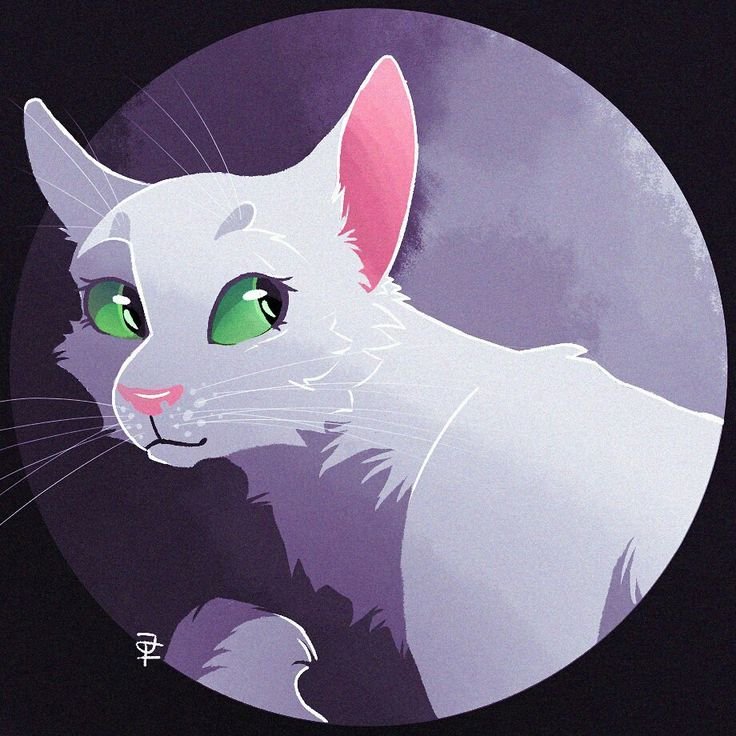Коты воители половинка луны арт