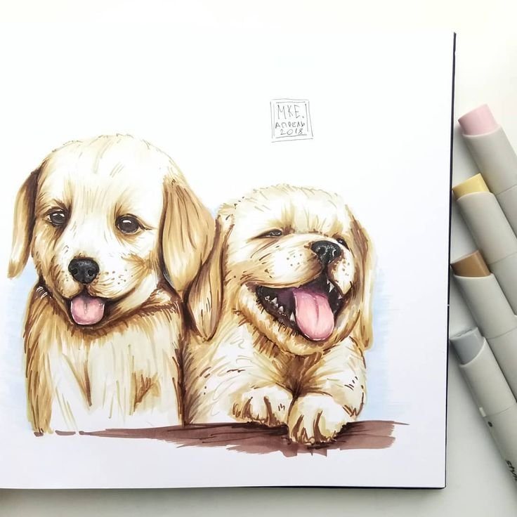 Рисунки животных фломастерами