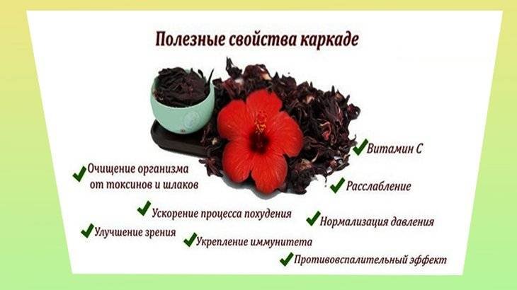 Чай каркаде повышает арт давление