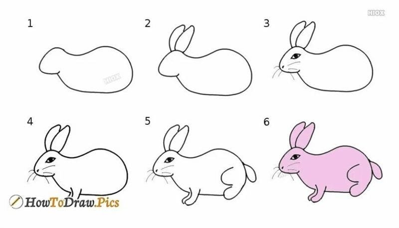 Рисование кролика поэтапно