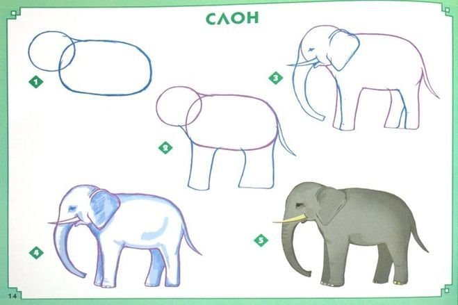 Рисование слона для детей