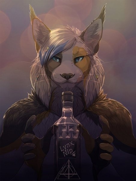 Фурри Lynx