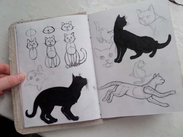 Кошечек легкие