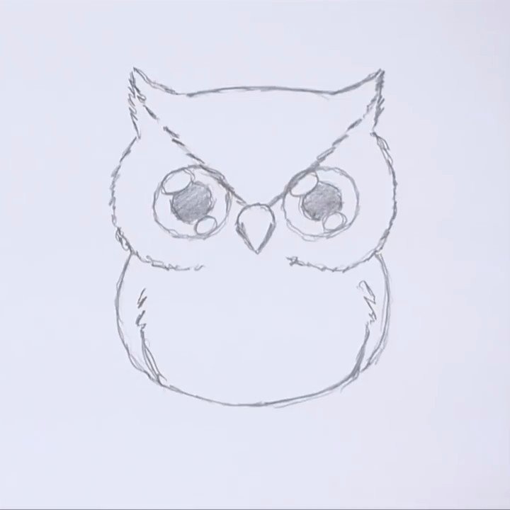Рисуем клюв Совы