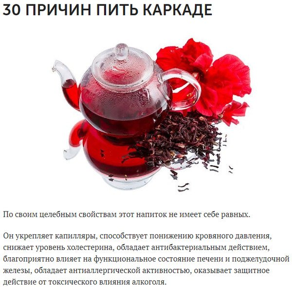 Чай каркаде чем полезен