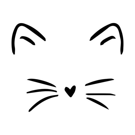 Нос кота
