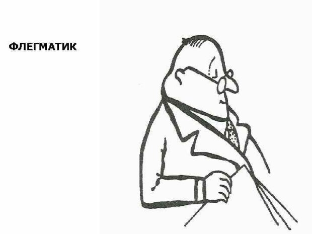 Флегматик картинки