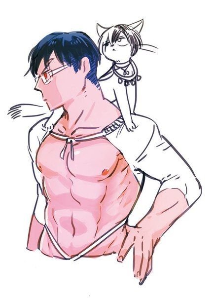 Iida Tenya Cats