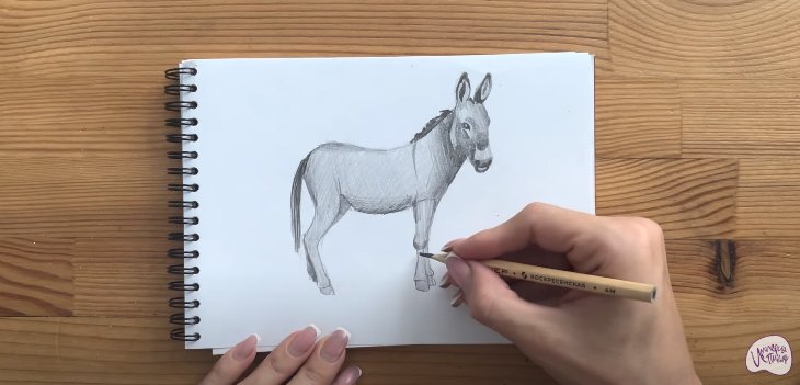 Ослик