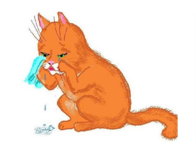 Кот наплакал рисунок