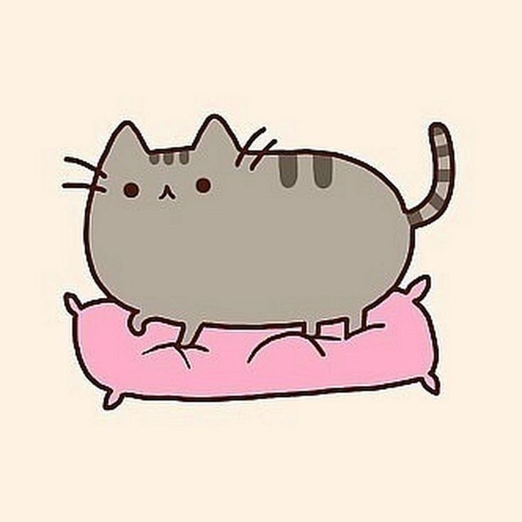 Рисунки для срисовки котики