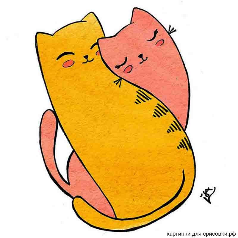 Влюбленные котики