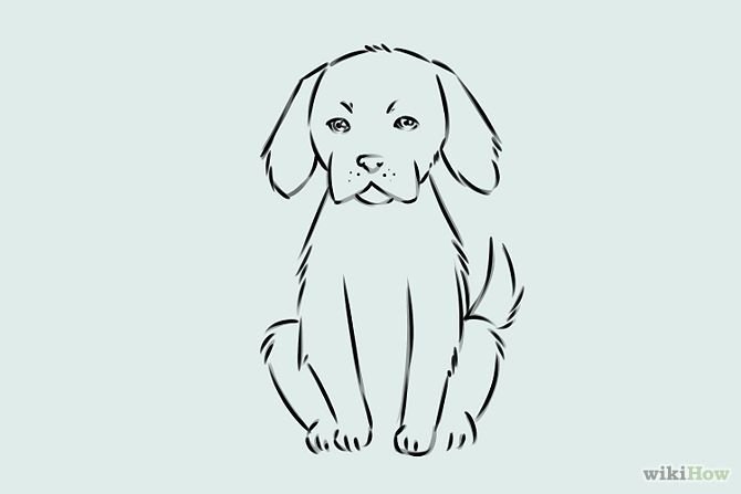 Нарисовать сидящую собаку