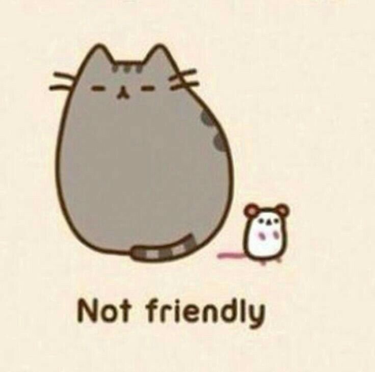 Кот Pusheen