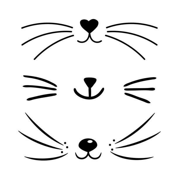 Кошачий нос