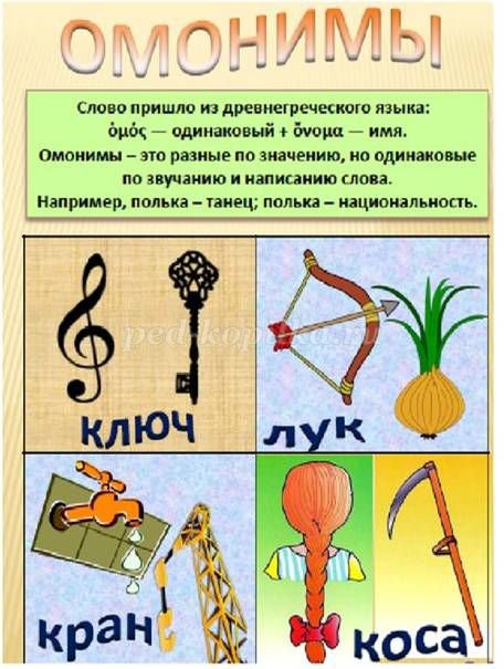 Слова омонимы примеры