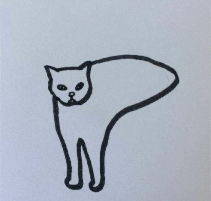 Рисунки для срисовки котики
