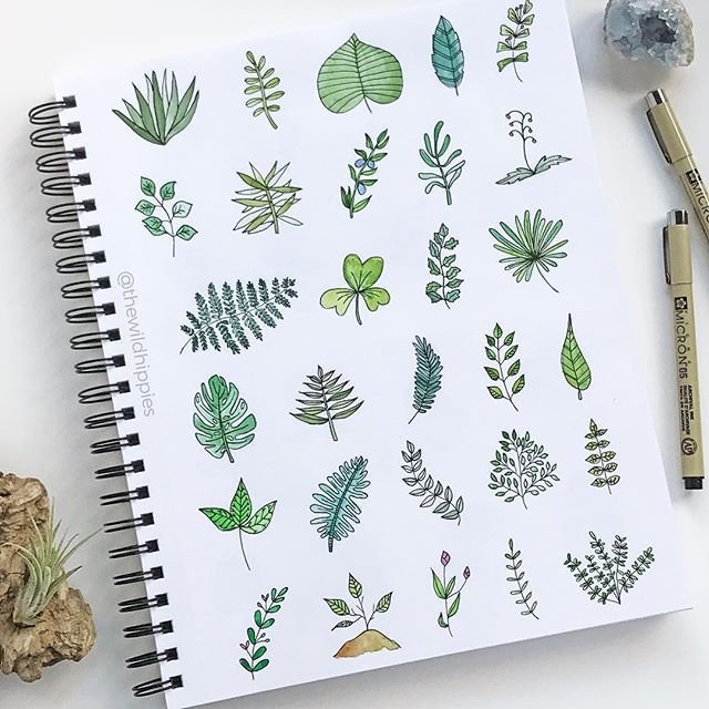 Рисунки цветов для скетчбука