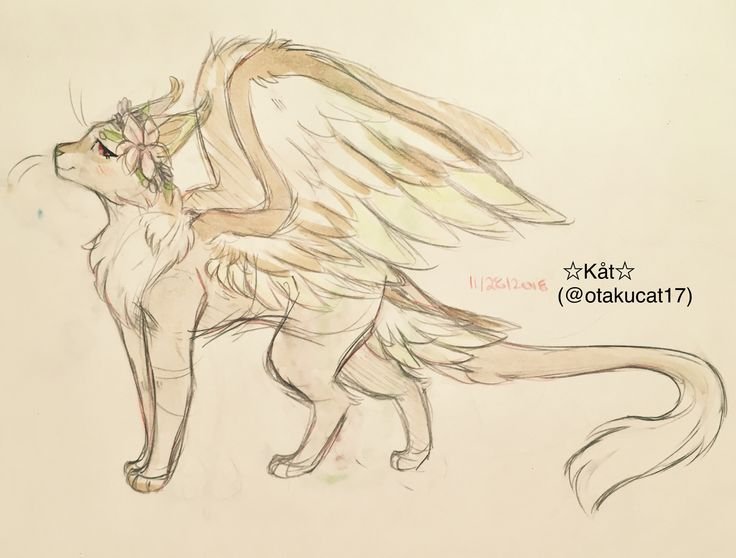 Кот с крыльями рисунок