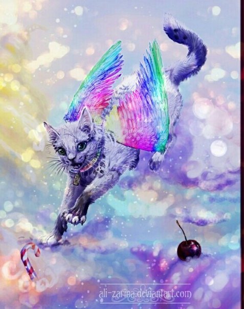 Кот с крыльями