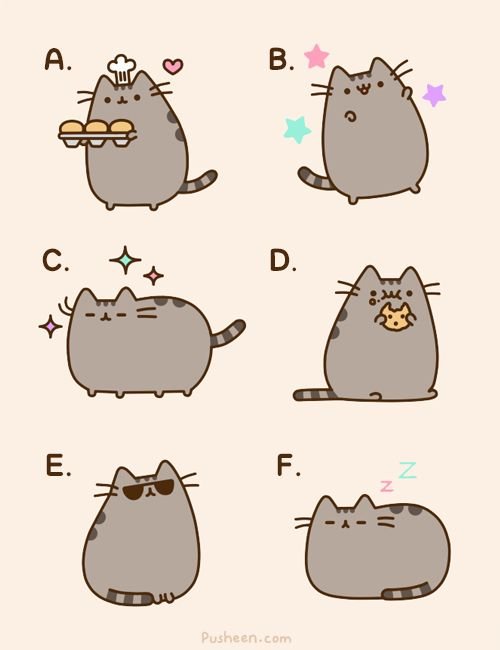 Рисунки котиков