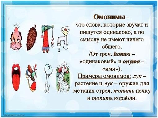 Слова омонимы примеры