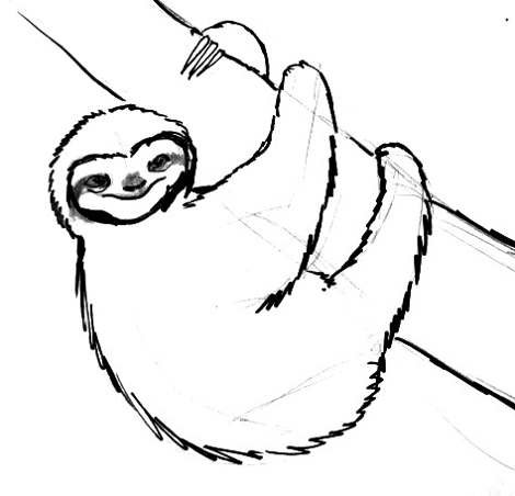 Ленивец рисунок
