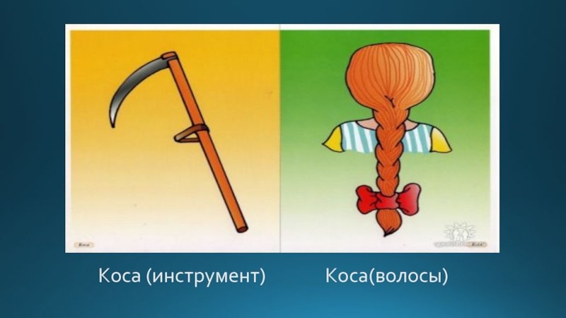 Омонимы картинки для детей