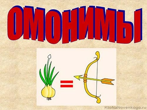 Слова омонимы
