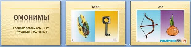 Омонимы картинки для детей