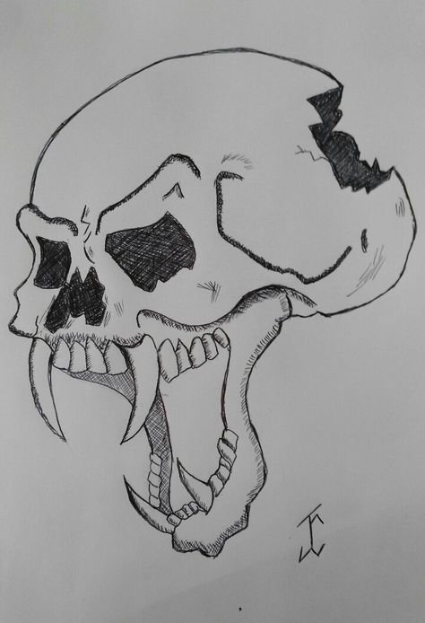 Череп рисунок карандашом