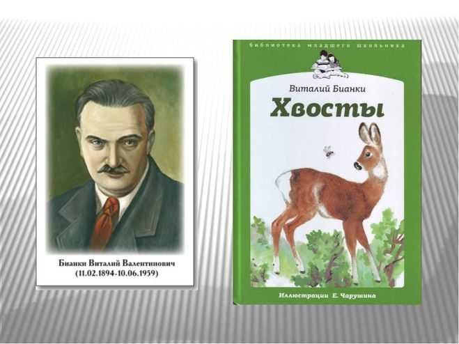 Виталий Бианки хвосты иллюстрации