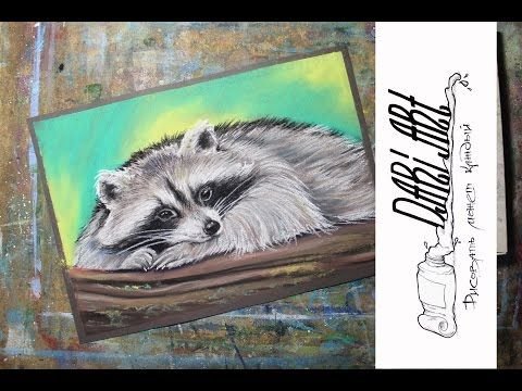 Енот пастелью