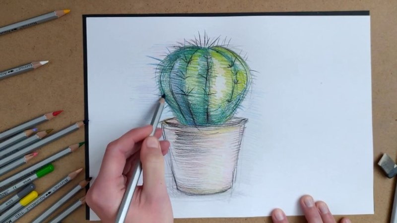 Рисование цветными карандашами для начинающих