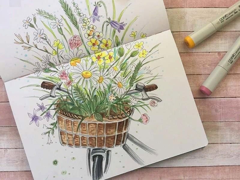 Полевые цветы скетч маркерами