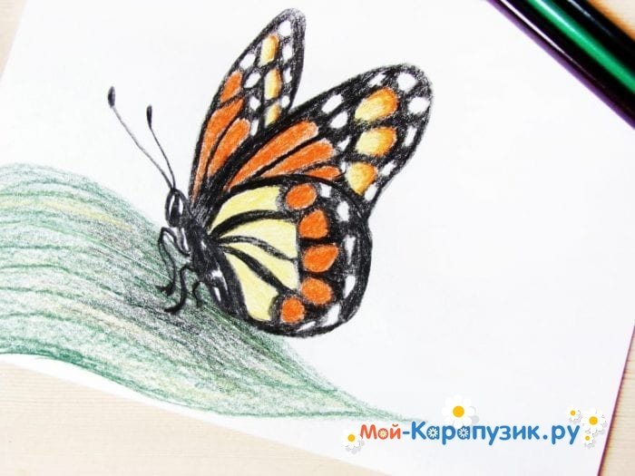 Бабочки из рассказа чему научила сказка нарисовать