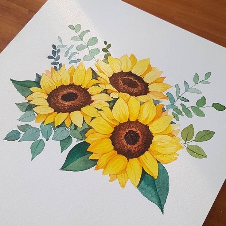 Подсолнух рисунок