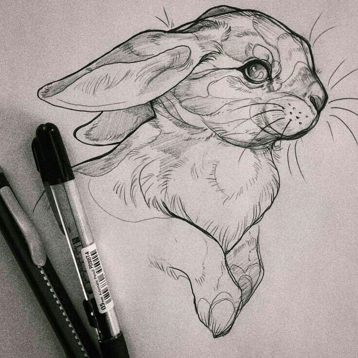 Рисунки карандашом