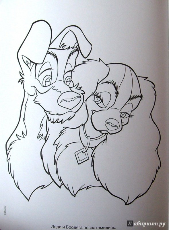 Леди и бродяга арт