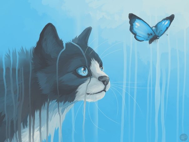 Коты Воители Мика
