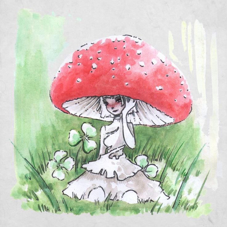 Мухомор рисунок