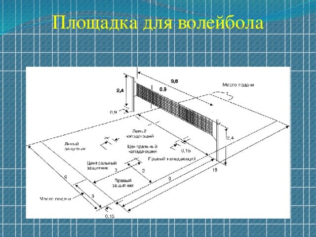 Волейбол разметка площадки